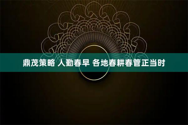 鼎茂策略 人勤春早 各地春耕春管正当时